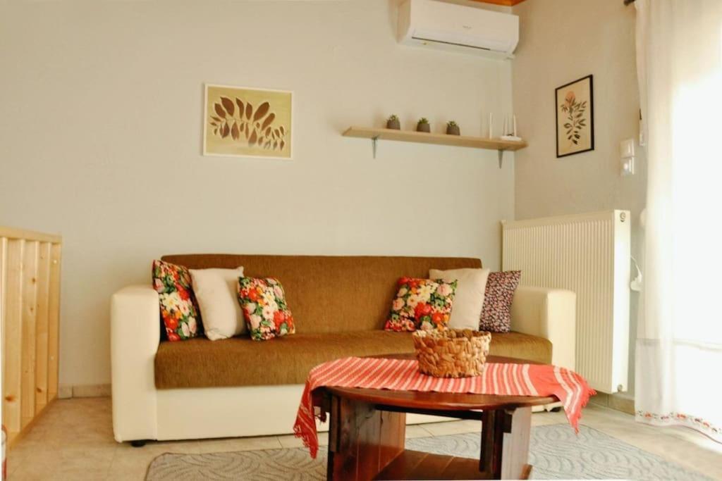 Apartment Tasoulashome 1-μονοκατοικια με αυλη Komotini